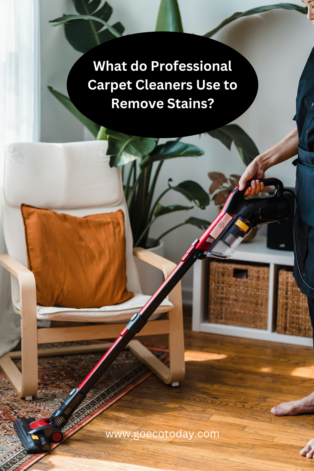 Non-Toxic Carpet Cleaning Companies
